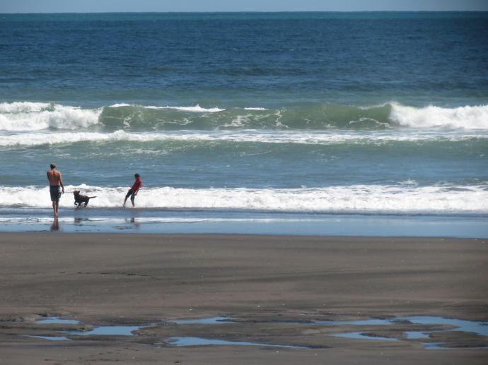The energetic younger ones take the dog for a game in the ocean.